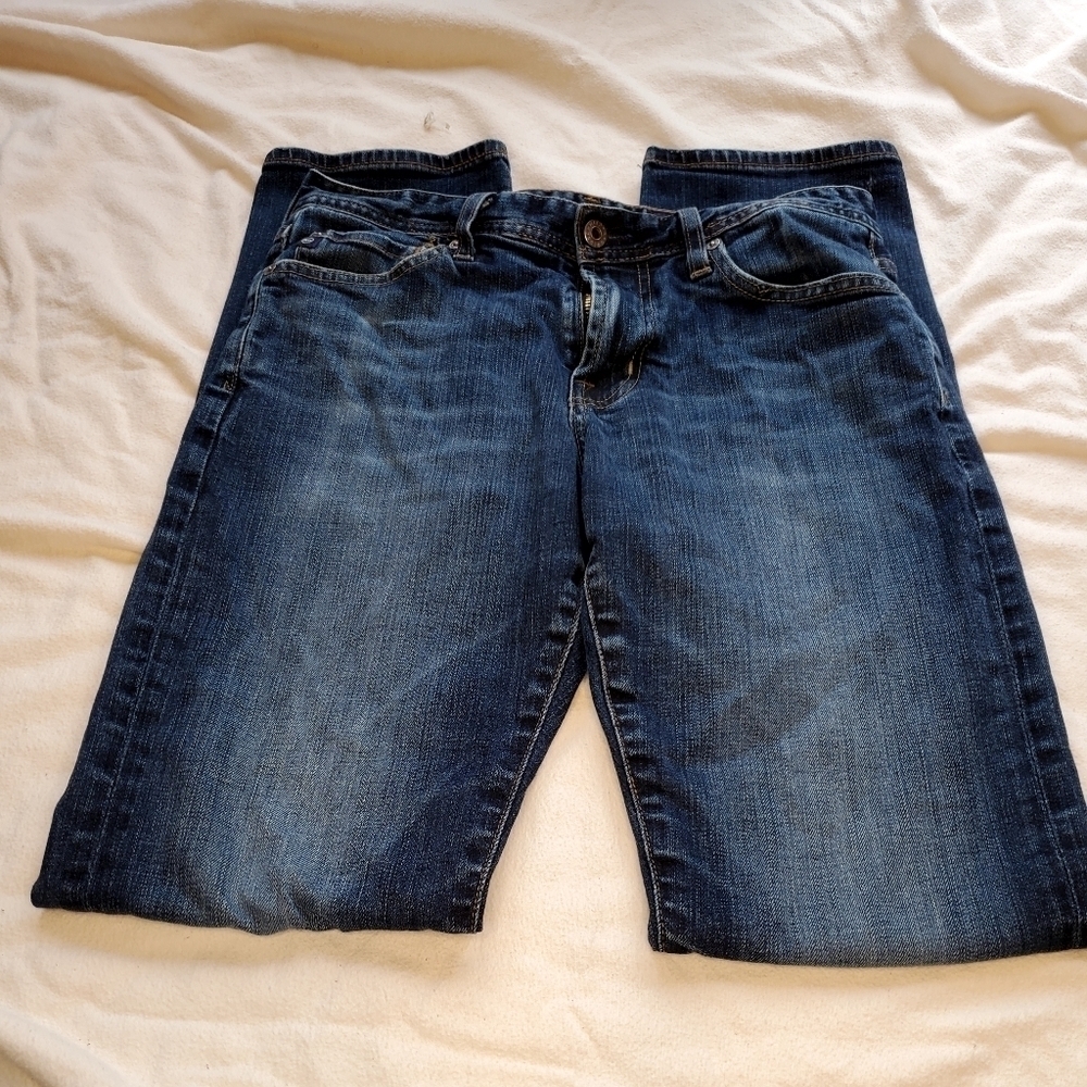 AE America Eagle Artist jeans